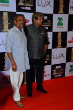 Mahesh Manjrekar at zee cine awards 2016 on 20th Feb 2016